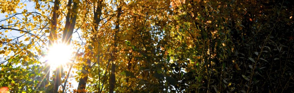 Oberthurgauer Wetter