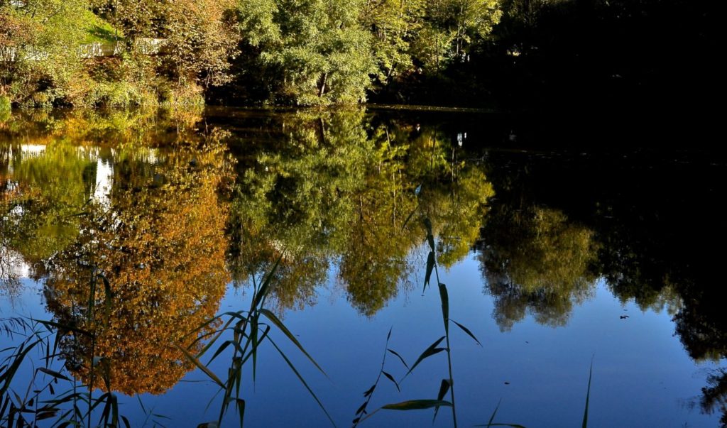 Oberthurgauer Wetter