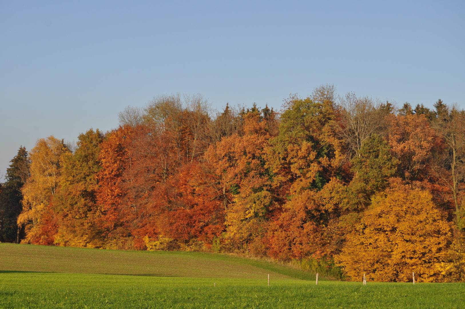 Oberthurgauer Wetter