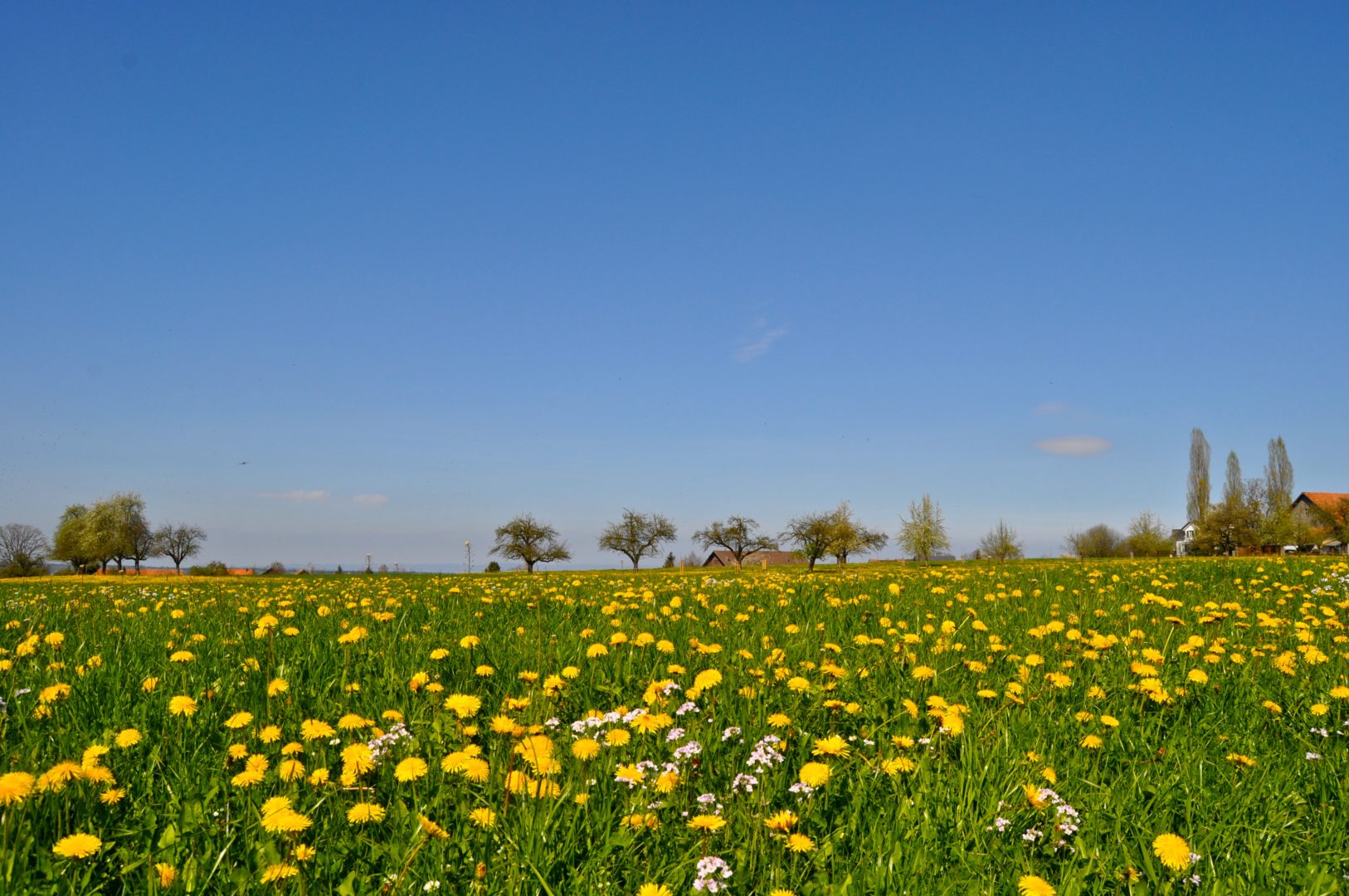 Oberthurgauer Wetter