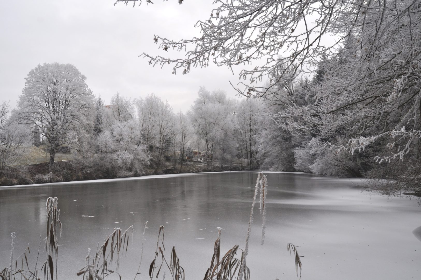 Oberthurgauer Wetter