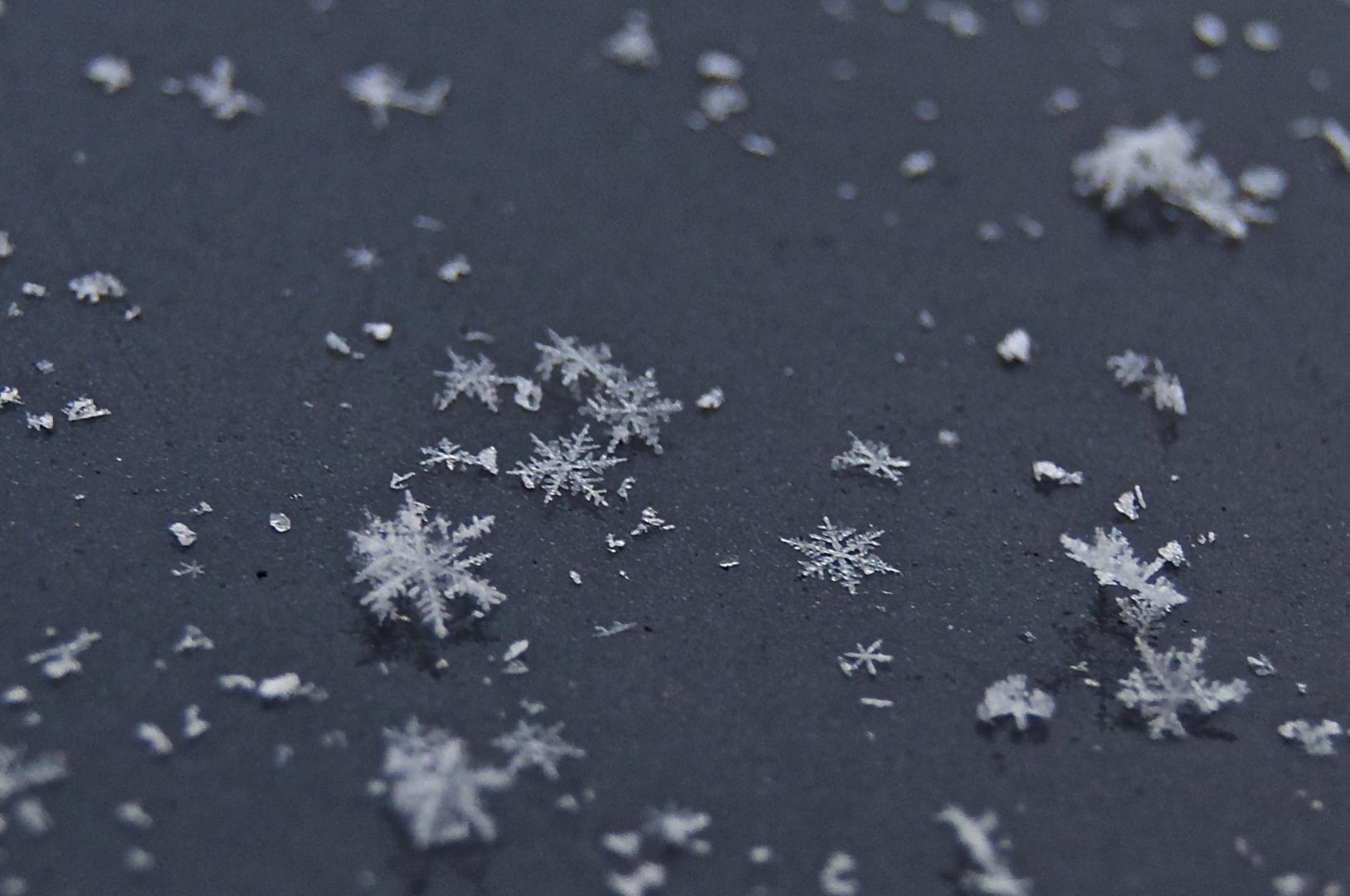 Oberthurgauer Wetter