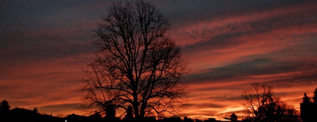 Oberthurgauer Wetter