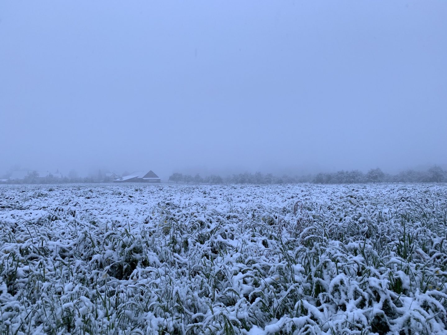 Oberthurgauer Wetter
