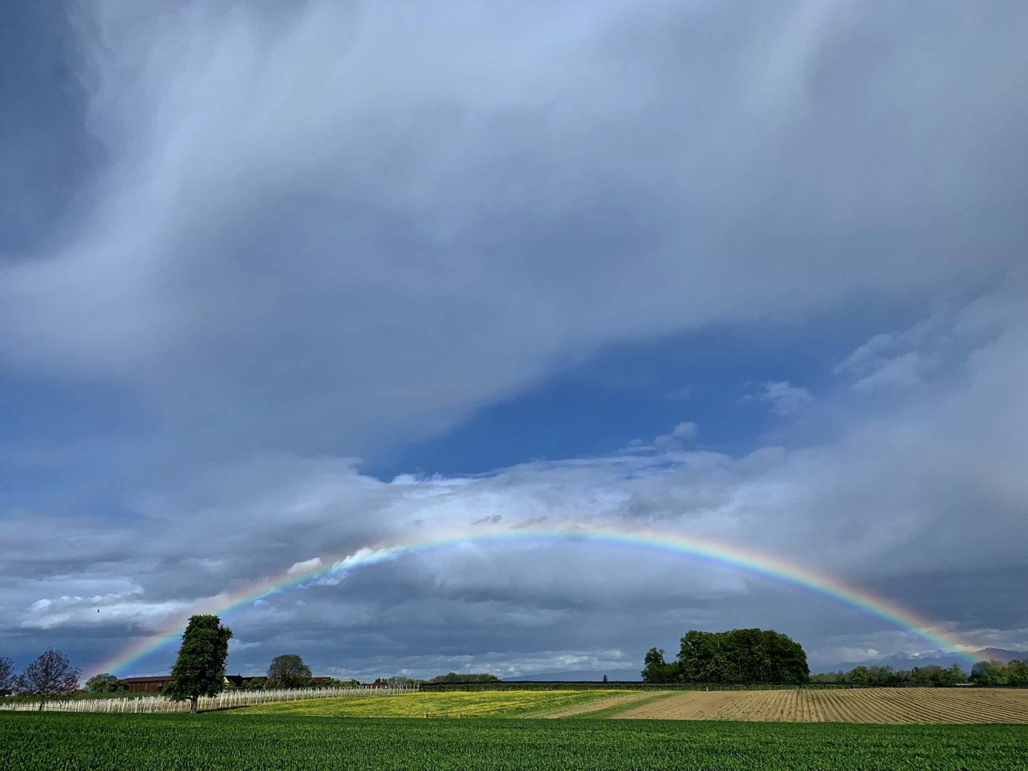 Oberthurgauer Wetter
