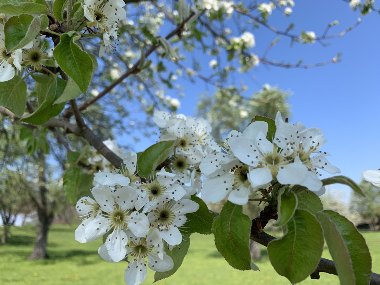 Oberthurgauer Wetter