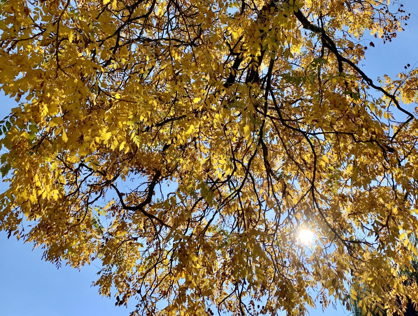 Oberthurgauer Wetter