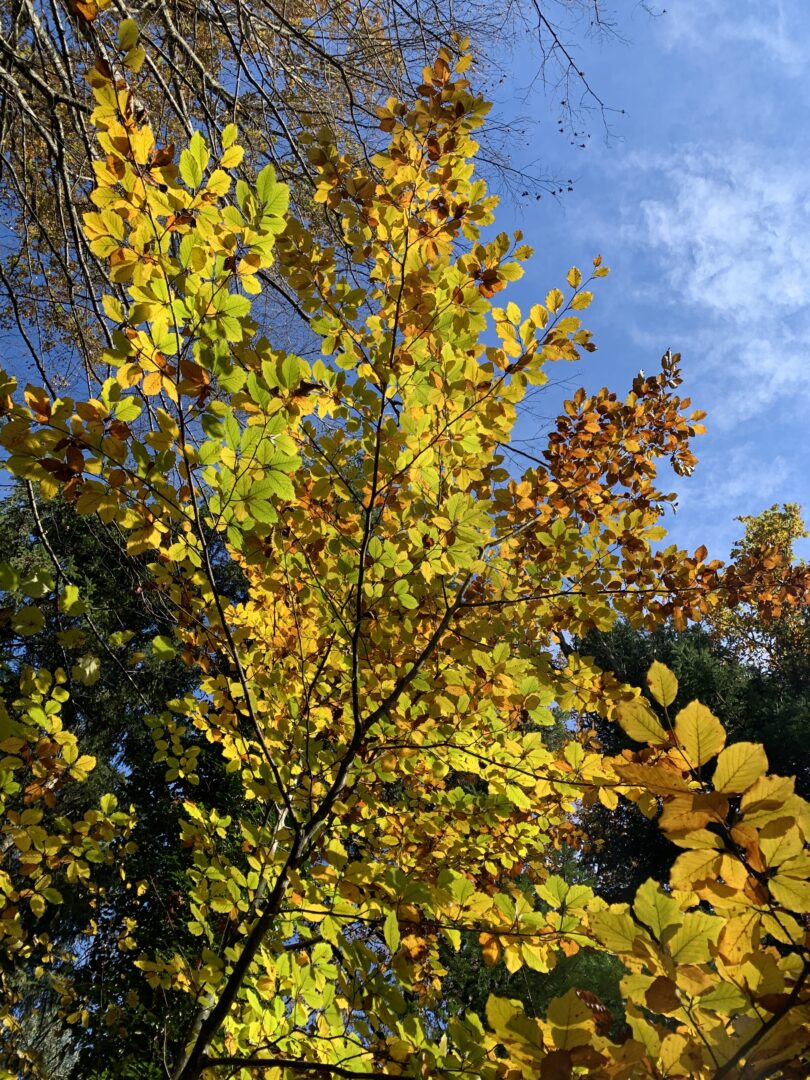 Oberthurgauer Wetter