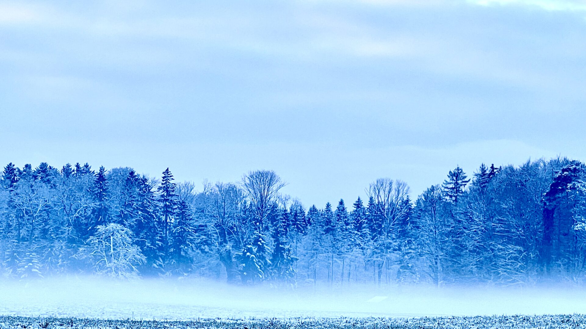Oberthurgauer Wetter