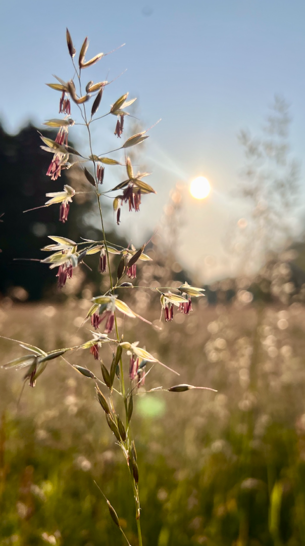 Oberthurgauer Wetter