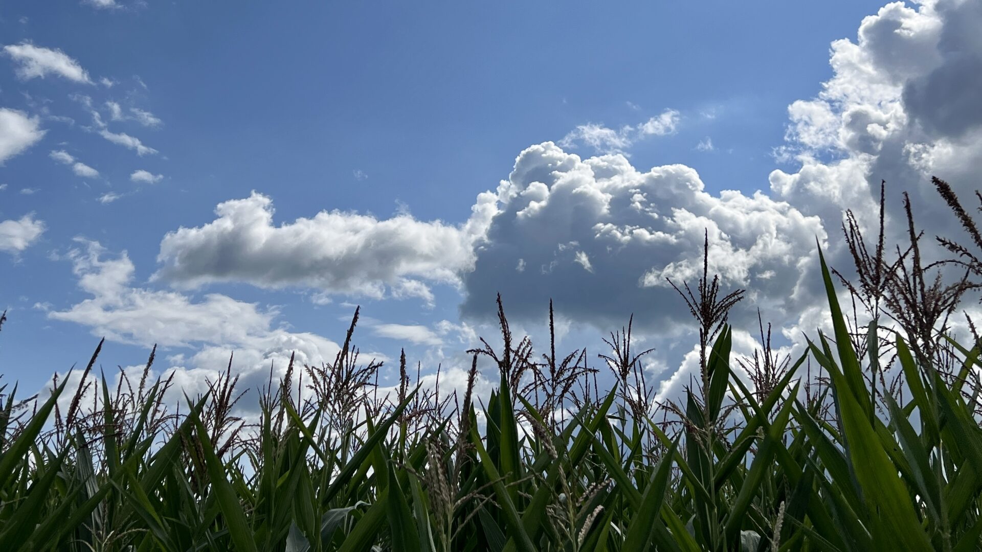 Oberthurgauer Wetter