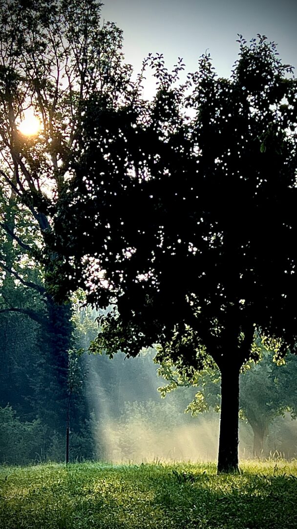 Oberthurgauer Wetter